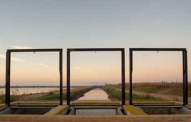 Delta de Ebro, Spain