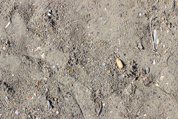 Wet beach sand debris traces surface texture abstract background detail fragment