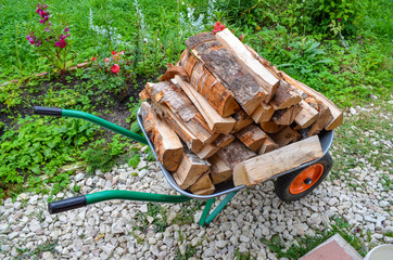Wheelbarrow with birch logs