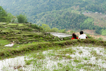 children rice field