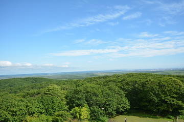 Obraz premium 湿原