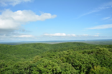 湿原