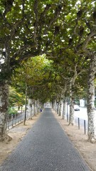 Frankfurt - beira rio