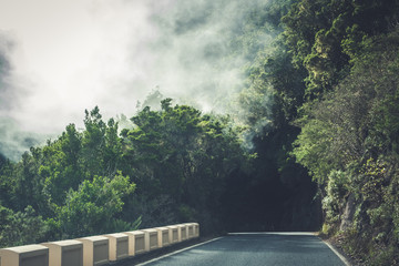 empty road in thick fog in forest landscape -