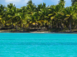 Obraz premium La Romana, Dominican Republic - Beautifull Beach with tropical palms and white sand of a typical tropical island of the caribbean