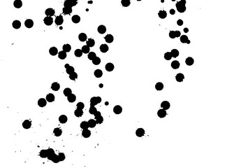 Ink grunge drops texture. Black hand drawn splashes and stains on white background.