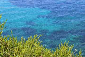 Fototapeta na wymiar Crystal clear turquoise blue sea water surface texture with trees vegetation