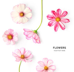 Creative layout made of pink flowers isolated on white background. Flat lay. Flower concept.