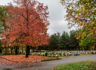 Fototapeta na wymiar quiet little cemetery park with flowers on graves and autumn colors of trees