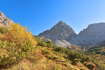 Beautiful alpine landscape above the tree line with colorful vegetation and wild mountains of rock under blue sky. Lechtal Alps, Tyrol, Austria.
