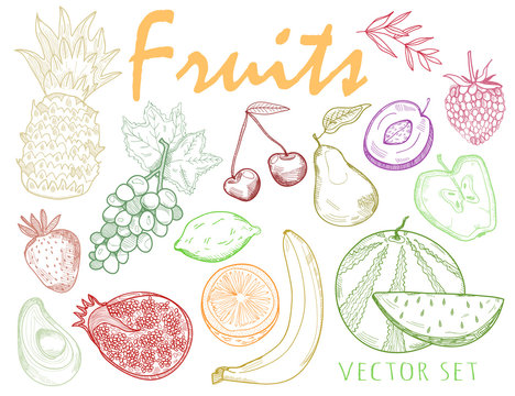 Hand drawn graphic fruits. Colored vector set
