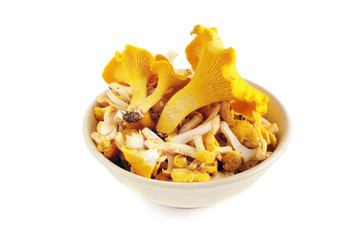golden chanterelle mushrooms cutted in a bowl on white isolated background