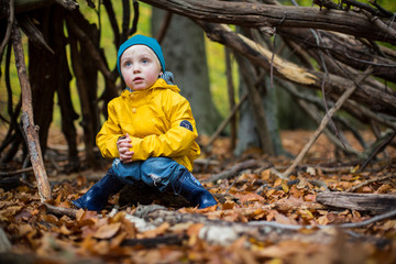 gesund im Wald