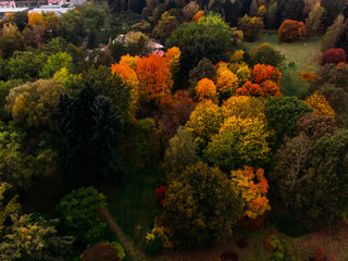 Autumn Park with many different trees Top view air drone