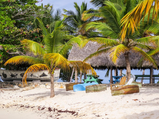 La Romana, Dominican Republic - Beautifull Beach with tropical palms and white sand of a typical tropical island of the caribbean