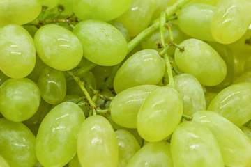 Bunches of green grapes with water drops background texture, closeup