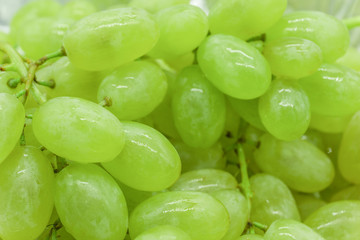 Bunches of green grapes with water drops background texture, closeup