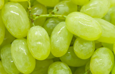 Bunches of green grapes with water drops background texture, closeup
