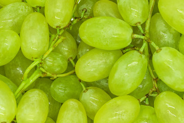 Bunches of green grapes with water drops background texture, closeup