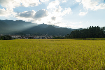 Fototapeta premium Japan Shikoku Mountain Village 
