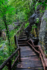 Obraz premium wooden bridge with wood railing cross over in the forest