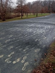 Footprints in the autumn park