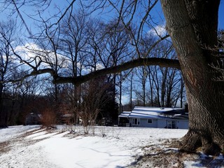 Snow in the winter park