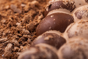 Broken milky porous chocolate, sweets and desserts