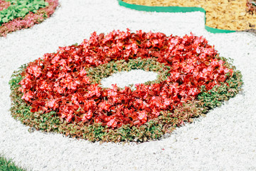 bright flower arrangement in the park