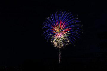 Fireworks against black sky - 1862