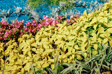 bright flower arrangement in the park