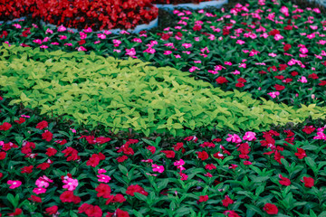 bright flower arrangement in the park