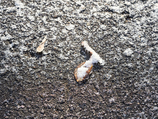 frozen surface of urban road close up