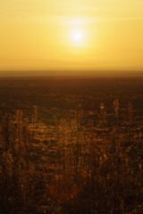Dry autumn grass in a meadow in the fog at dawn