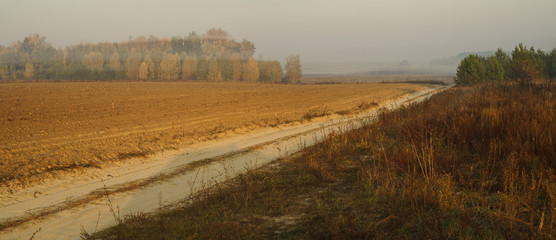 Dirt road along the field and forest
