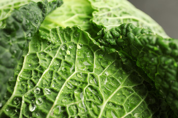 Fototapeta premium Fresh green savoy cabbage as background, closeup