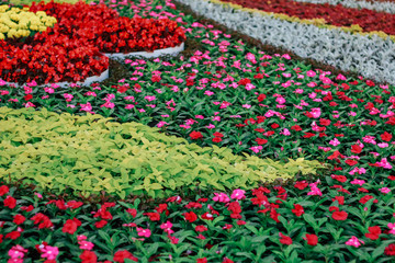 bright flower arrangement in the park