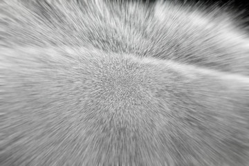 Sprinkler system working on fresh green grass on football (soccer) stadium