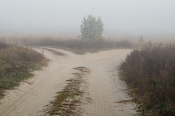 Crossroads of forest dirt roads in fog