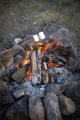 Cooking marshmallow on sticks on a fire.