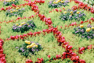bright flower arrangement in the park