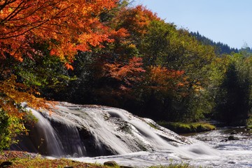 色着いて来た秋の遊水峡