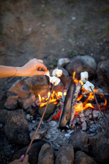 Cooking marshmallow on sticks on a fire.