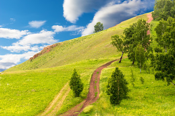 Contrast summer landscape with empty dusty dirt road in a field at the edge of the forest along a mountain hill on a sunny day against the background of bright blue sky and clouds.