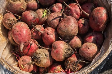 Beets in a basket at the Farmers market