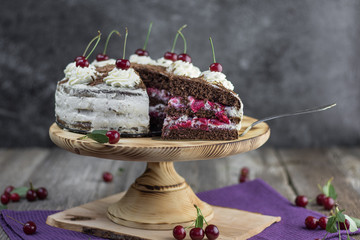 Slice of a Black forest cake, or traditional austria schwarzwald cake from dark chocolate and sour...