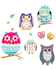 various owls