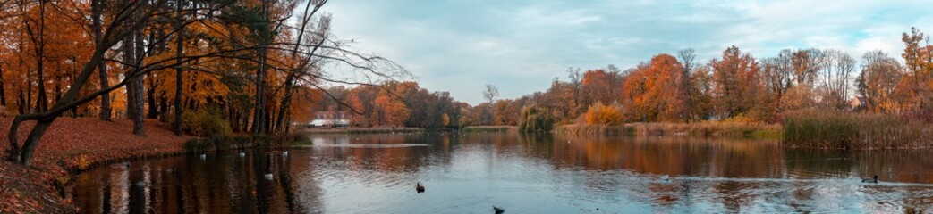 Autumn lake