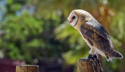 terra natura © FRANCISCO