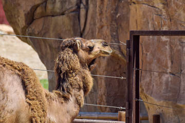 terra natura © FRANCISCO